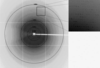[Figure 4]