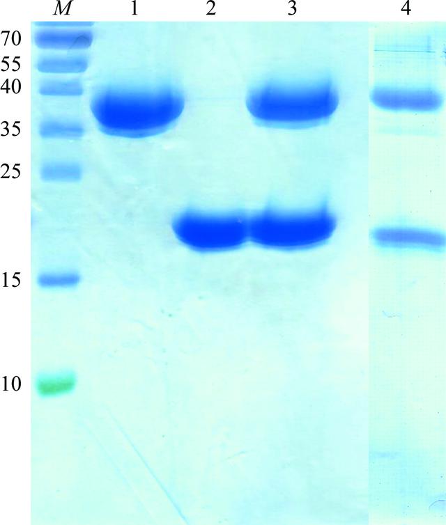 [Figure 3]