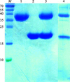 [Figure 3]