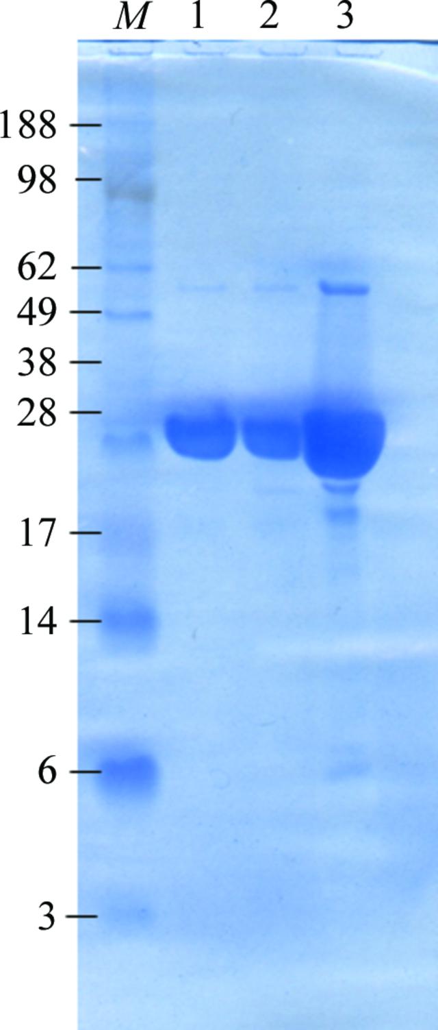 [Figure 1]
