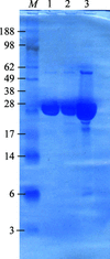 [Figure 1]