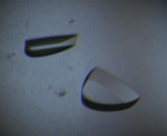 [Figure 2]