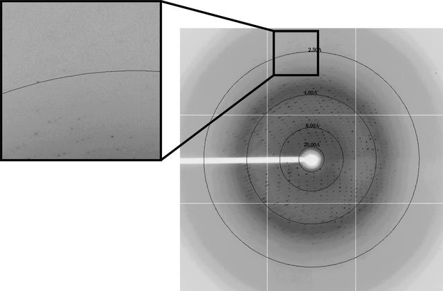 [Figure 3]