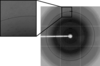 [Figure 3]