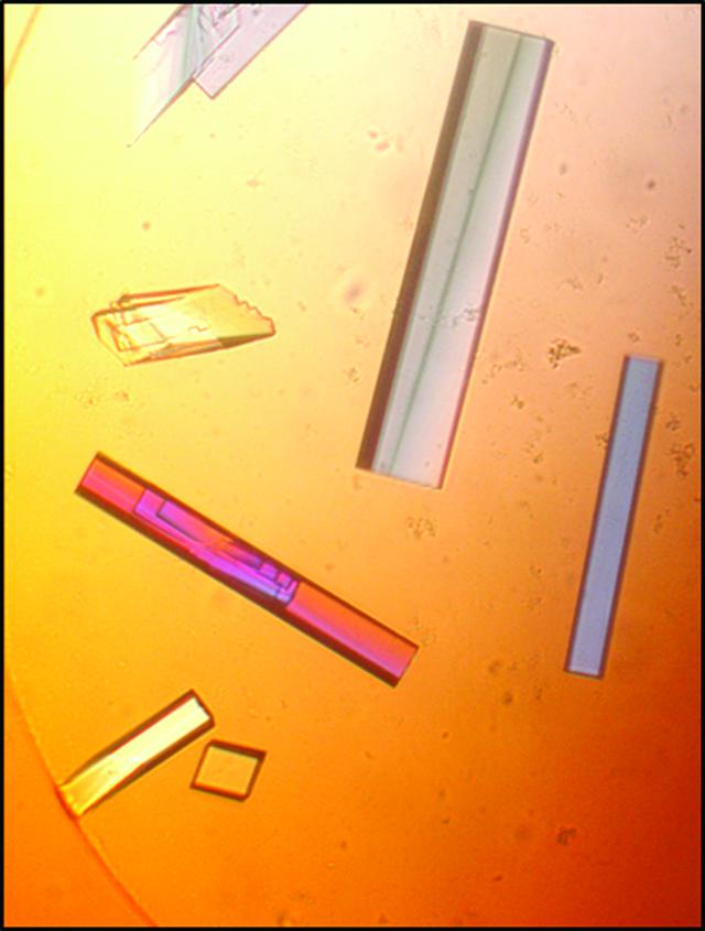 [Figure 2]