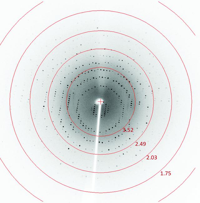 [Figure 3]