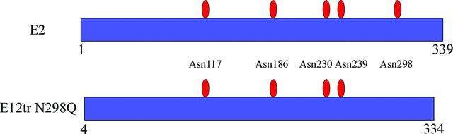 [Figure 1]
