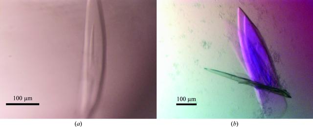 [Figure 2]