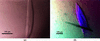 [Figure 2]
