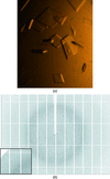 [Figure 1]
