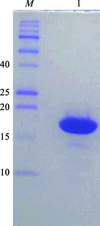 [Figure 1]