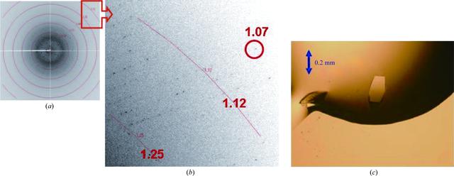 [Figure 2]
