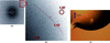 [Figure 2]