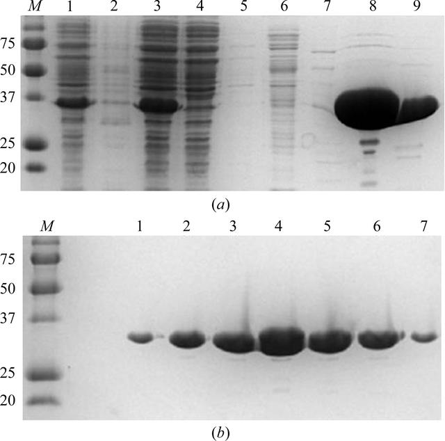 [Figure 1]
