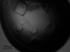 [Figure 2]