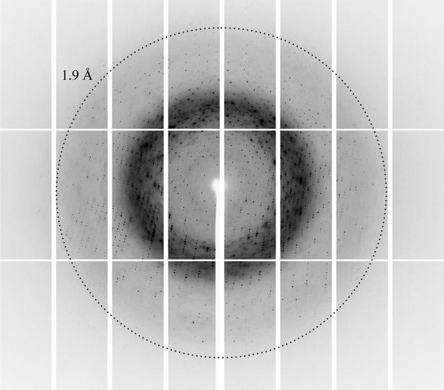 [Figure 3]