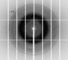 [Figure 3]