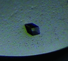 [Figure 1]