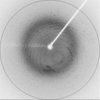 [Figure 2]