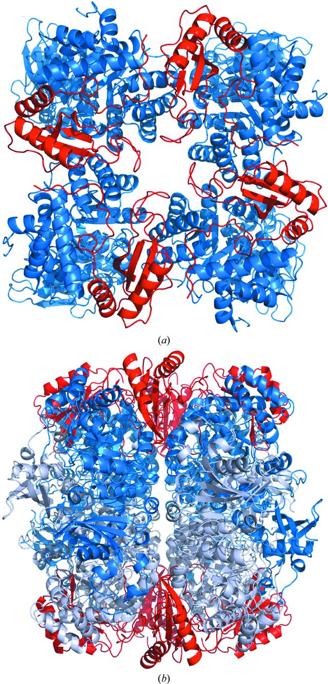 [Figure 2]