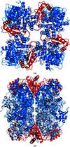 [Figure 2]