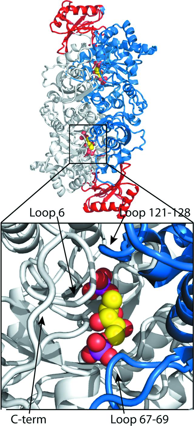 [Figure 3]