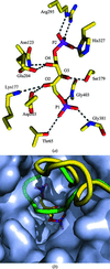 [Figure 4]