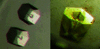 [Figure 1]