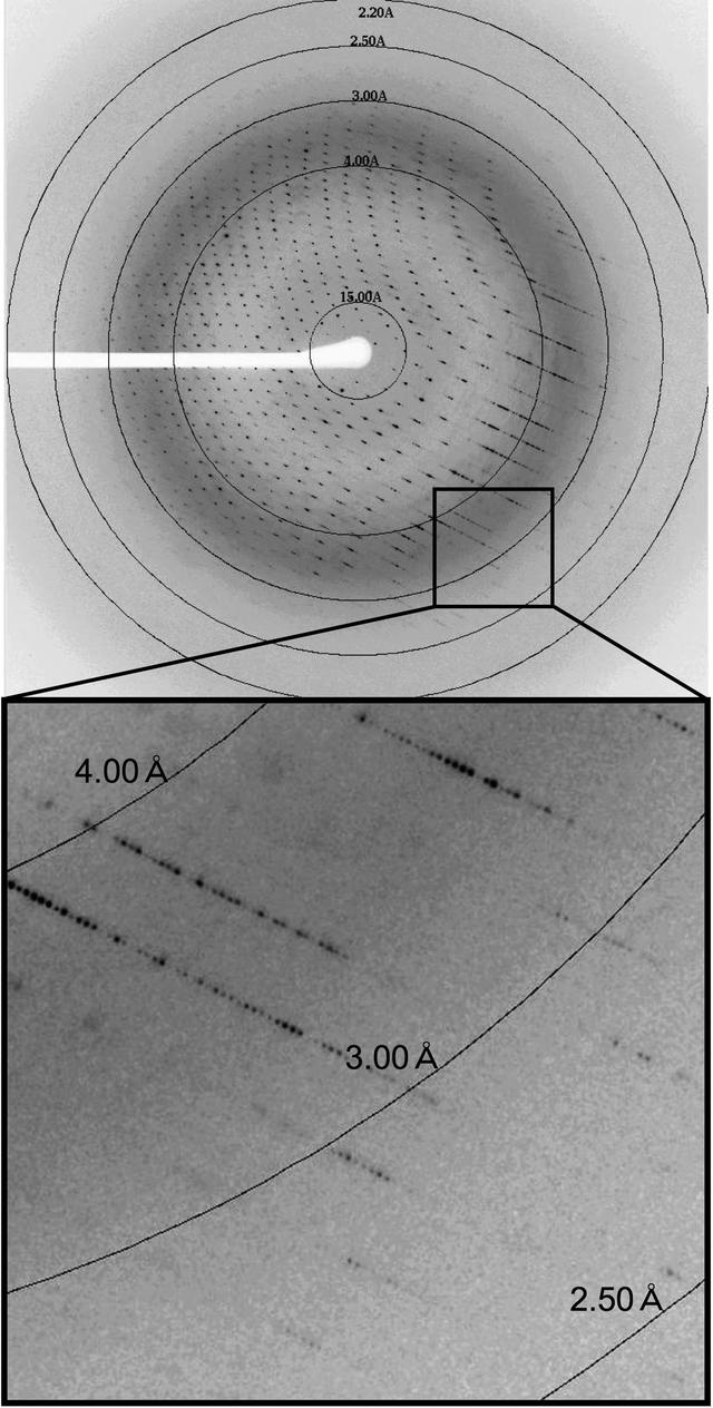 [Figure 2]