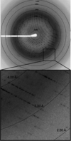 [Figure 2]
