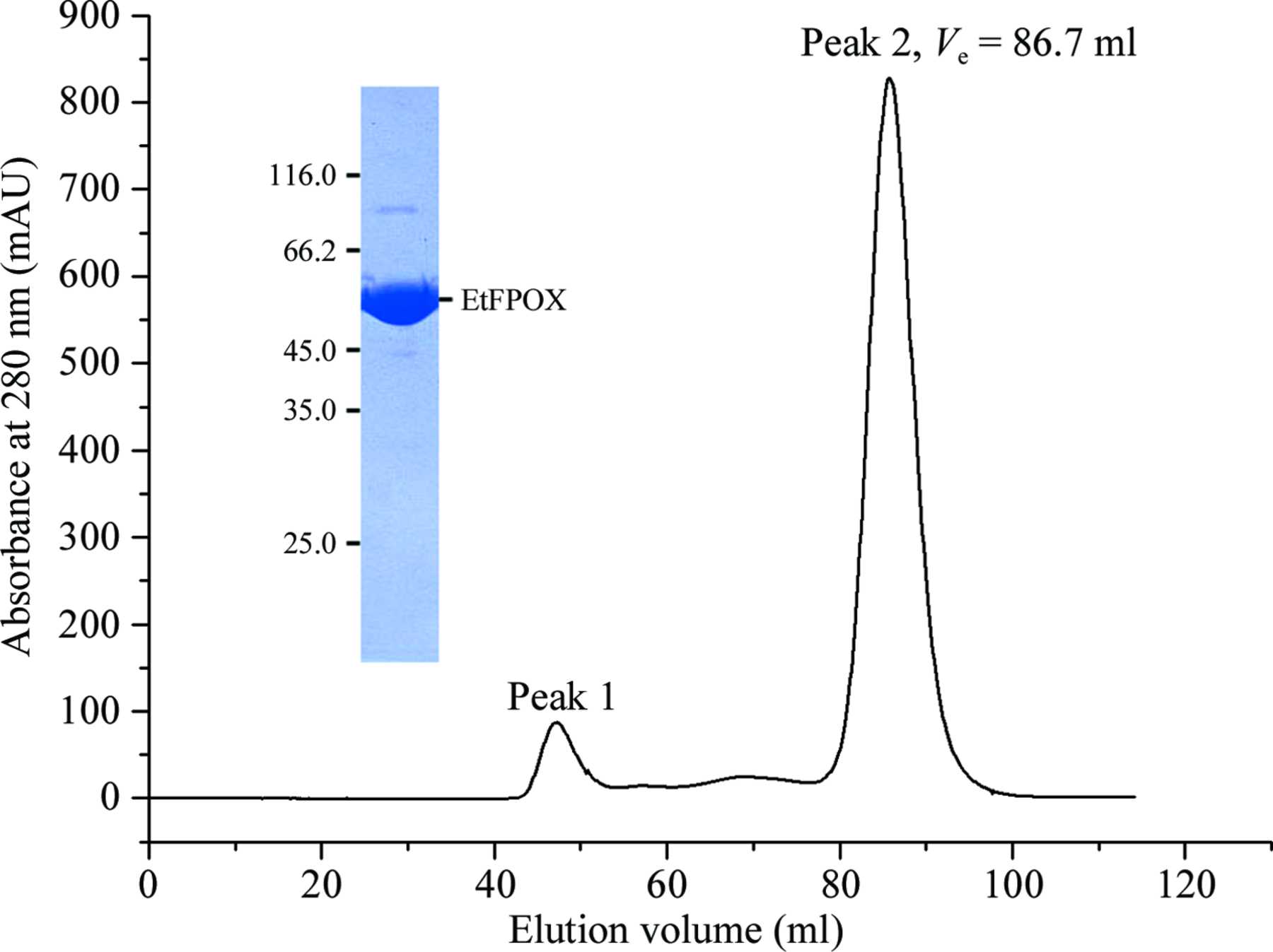 IUCr Expression Purification Crystallization And Preliminary X Ray