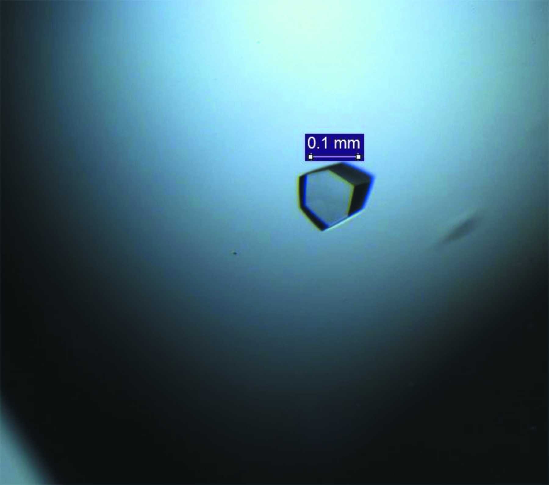 Iucr Crystallization And Preliminary X Ray Analysis Of Rv C From