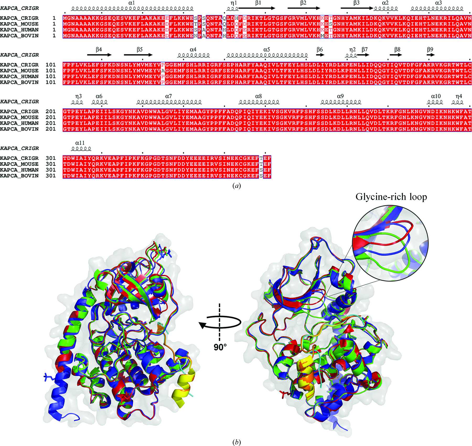 IUCr High Resolution Crystal Structure Of CAMP Dependent Protein