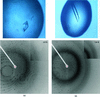 [Figure 2]