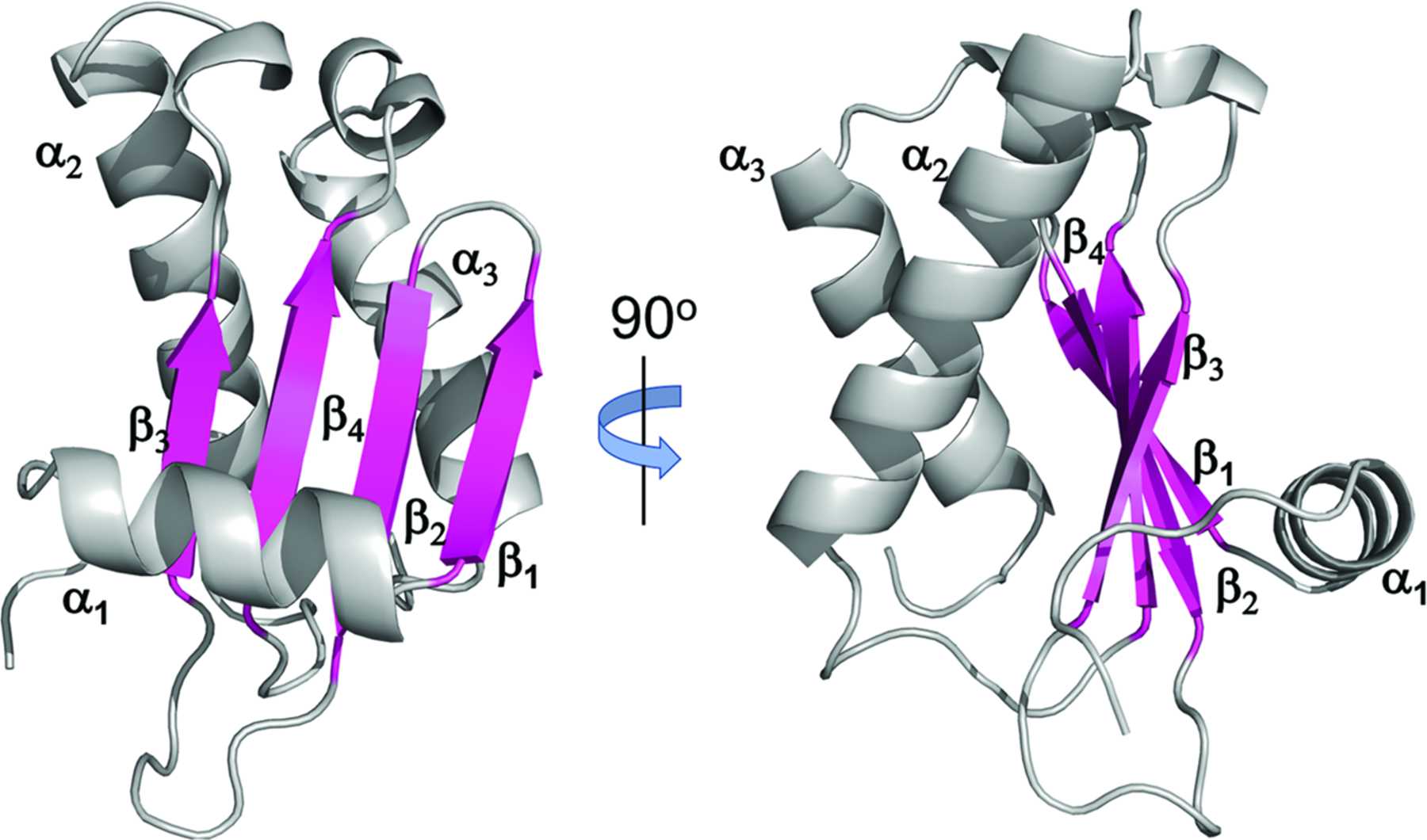 IUCr Crystal Structure Of The Ribonuclease P Protein Subunit From