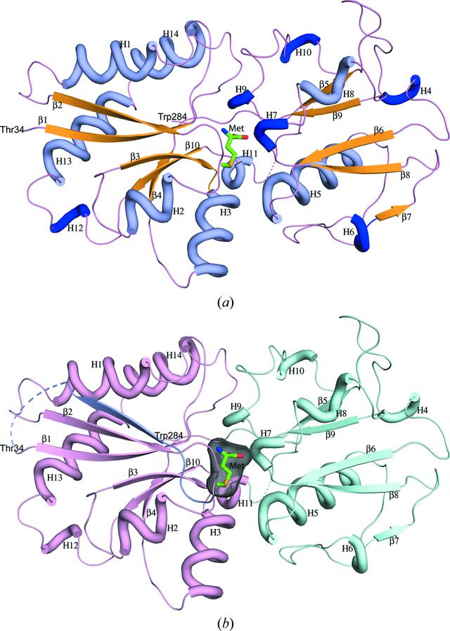 Iucr Structural Insights Into The Substrate Specificity Of Sp