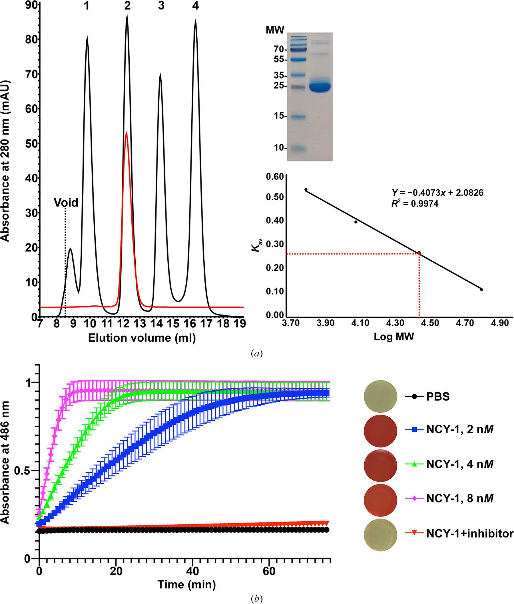 Iucr Biochemical And Structural Characterization Of A Class A