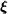 \boldxi