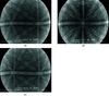 [Figure 2]