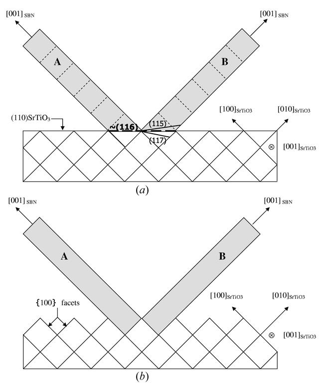 [Figure 4]