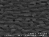 [Figure 6]