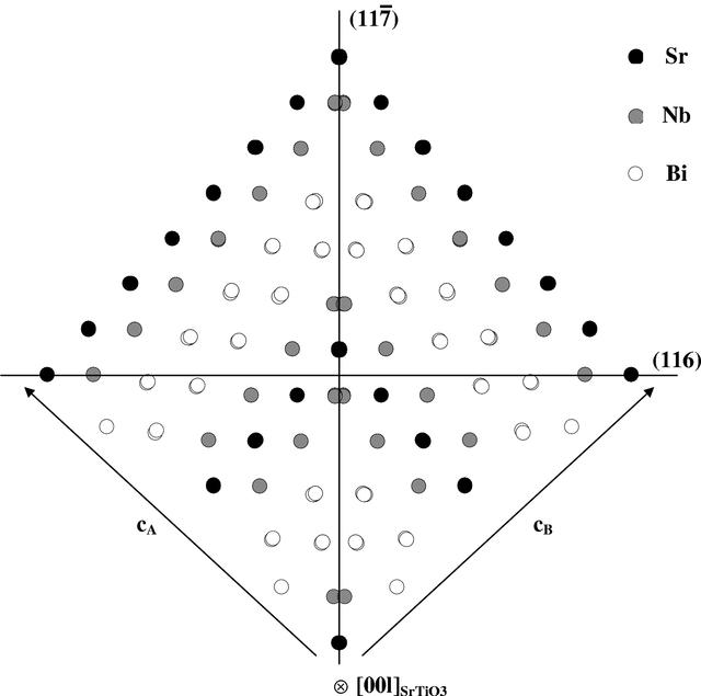 [Figure 8]