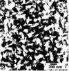 [Figure 2]