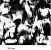 [Figure 4]