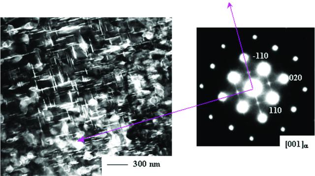 [Figure 5]