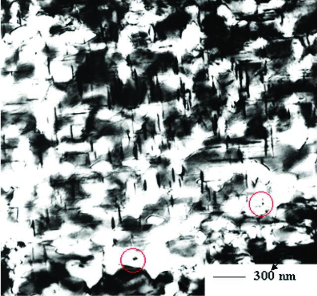 [Figure 6]