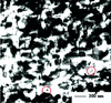 [Figure 6]