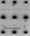 [Figure 8]