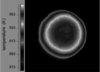 [Figure 3]
