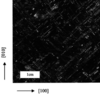 [Figure 2]